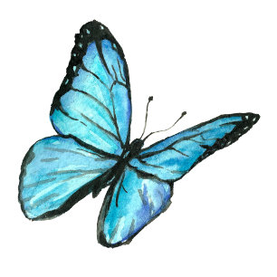 Blue butterflies Postpone wedding Change the Date Invitation Postcard