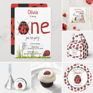 Cute Girly Whimsical LadyBug 2nd Birthday Invitation