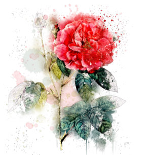 Shabby Chic Roses Wedding Stickers
