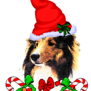 Cute Sheltie Santa Christmas Holiday Card