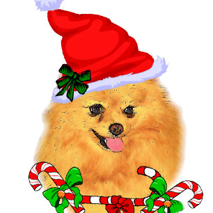 Cute Pomeranian Santa Christmas Holiday Card