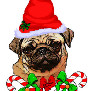 Pug  Lovers Christmas Gifts Holiday Card