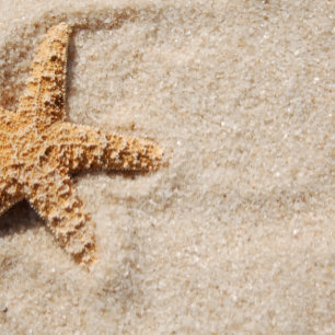 Beach Wedding Invitation:  Starfish in Sand Invitation