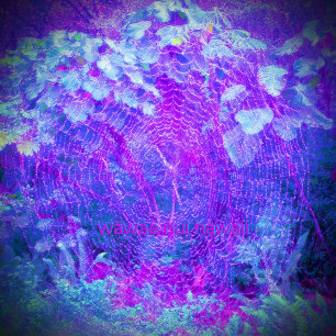 Spooky Weaver (orange), Flexible Photo Magnet