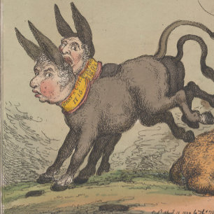 Donkeys - Folded Greeting Card