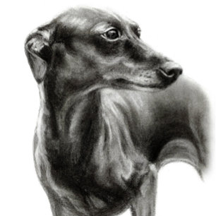 Hand drawn Greyhound  T-Shirt