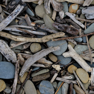 Beach Stones Driftwood Wedding Invitation