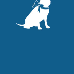 Pit Bull Dog Baby Shower Blue Boy Pitbull Invitation