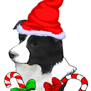 Border Collie Christmas Holiday Card