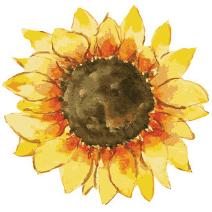 Yellow Rustic sunflower. Simple chic wedding Invitation
