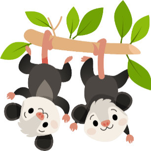 Opossum Birthday Invitation