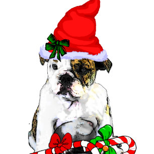 English Bulldog Christmas Holiday Card
