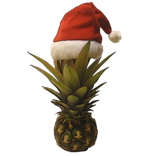 Santa Hat Pineapple Flat Note Card. Card