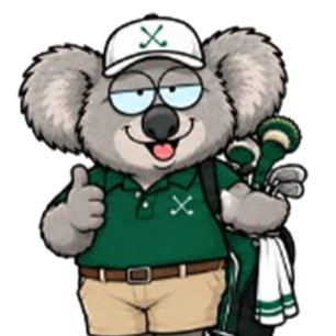 Koala little Aussie superstar! Party Hat