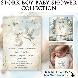 Newborn Baby Boy Name Blue Stork Delivery Baby Bodysuit