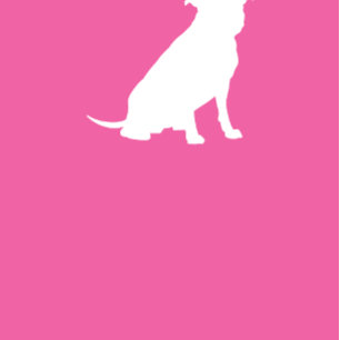 Pit Bull Dog Baby Shower Pink Girl Pitbull Invitation