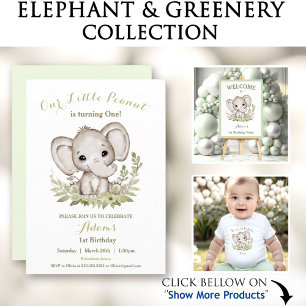 Cute Elephant Blue Green Birthday Boy Toddler T-Shirt