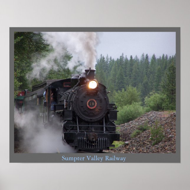 SVEGposter0701 Poster (Front)