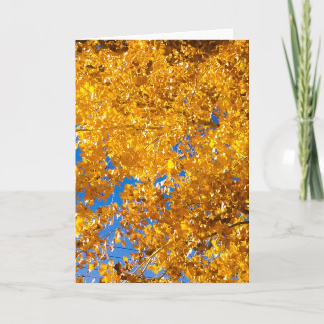 SW Textures #4 Card (Front)