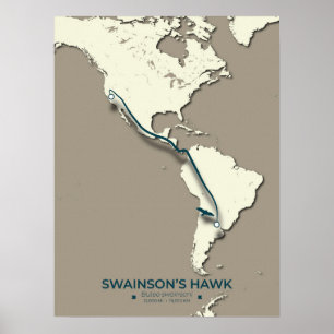 Swainson’s Hawk Migration Map – Minimalist Vintage Poster