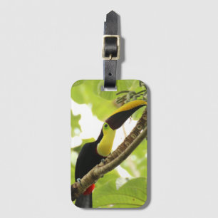 Swainson Toucan Exotic Bird Luggage Tag