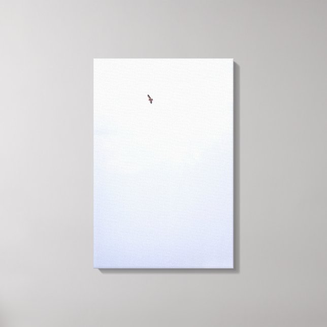 Swainson's Hawk Canvas Print (Front)