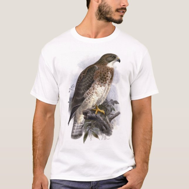 Swainson's Hawk, light phase, adult female T-Shirt (Front)