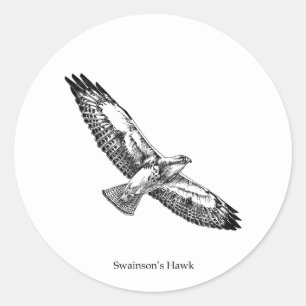 Swainson's Hawk Logo (titled) Classic Round Sticker