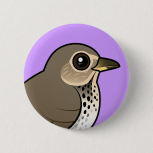 Swainson's Thrush 6 Cm Round Badge