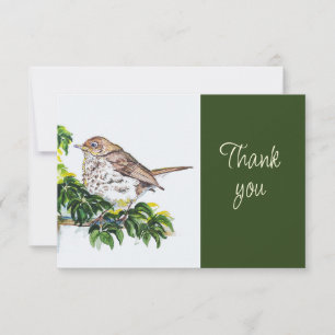 Swainson's Thrush Bird Nature WatercolorThank you Thank You Card