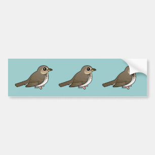 Swainson's Thrush Bumper Sticker