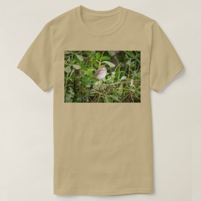 Swainsons Thrush T-Shirt (Design Front)