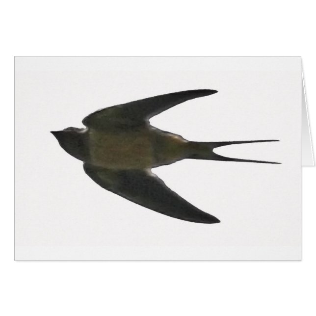 Swallow (Front Horizontal)