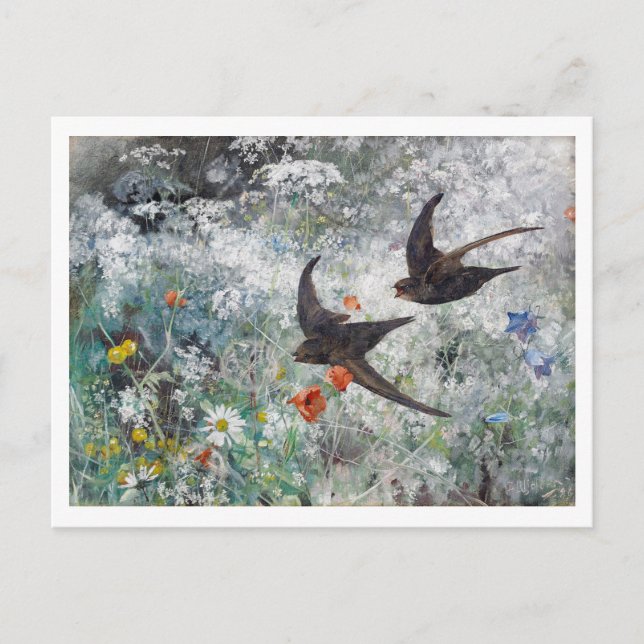 Swallow and Flower Field, Bruno Liljefors Postcard (Front)