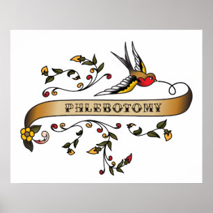 Swallow and Scroll with Phlebotomy Poster