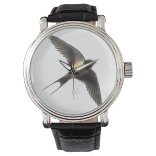 Swallow Bird Watch