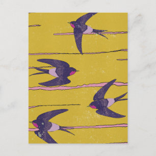 Swallow Birds Postcard