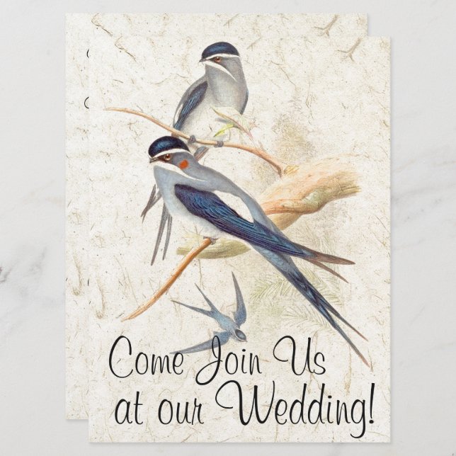 Swallow Birds Wildlife Animals Wedding Invitation (Front/Back)