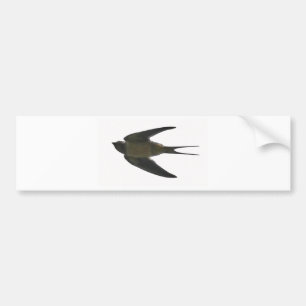 Swallow Bumper Sticker