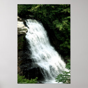 Swallow Falls Print