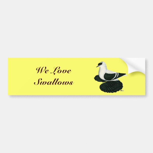 Swallow Pigeon Saxon Black White Bar Bumper Sticker (Front)