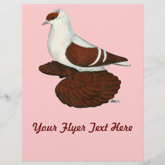 Swallow:  Red Fullhead Pigeon Flyer