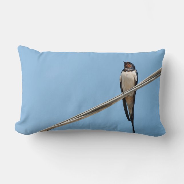 Swallow sitting on wire lumbar cushion (Front)