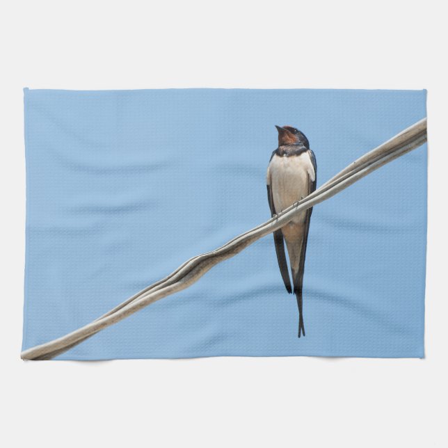 Swallow sitting on wire tea towel (Horizontal)