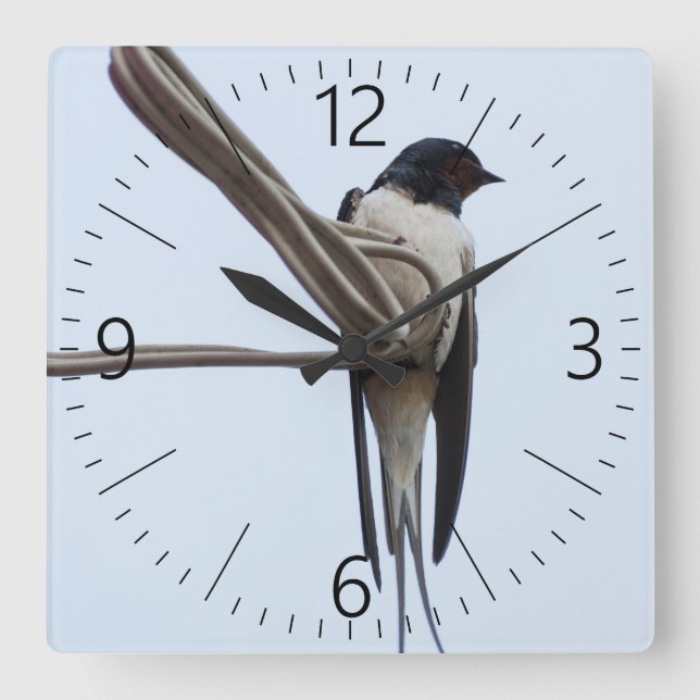 Swallow Square Wall Clock (Front)