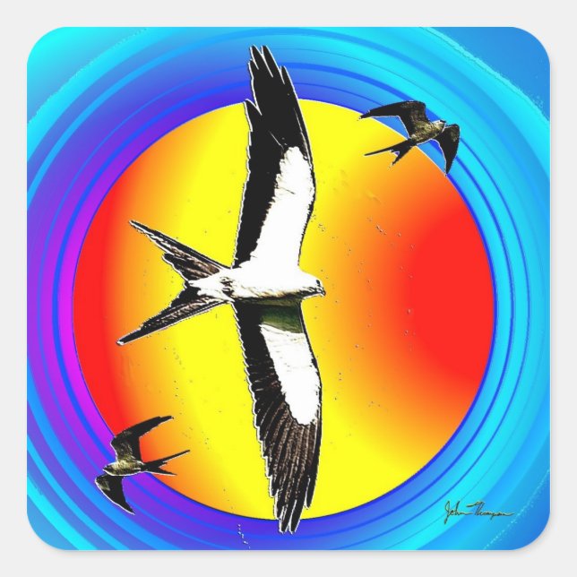 Swallow Tail Kite stickers (Front)