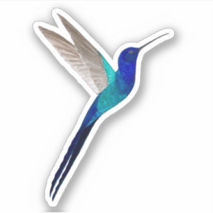 Swallow-tailed Hummingbird Sticker