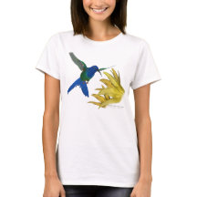 Swallow-tailed Hummingbird