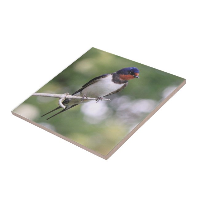 Swallow Tile (Side)