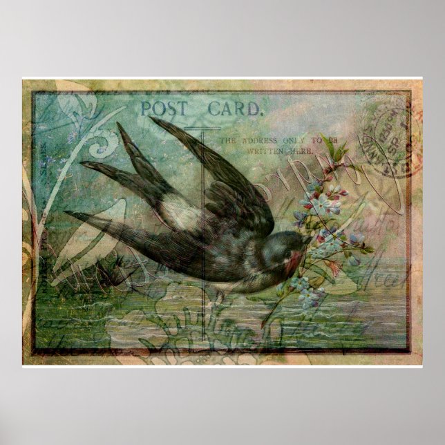 Swallow with Flowers Poster (Front)